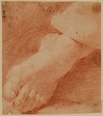 Gandolfi Ubaldo-Studio di piede